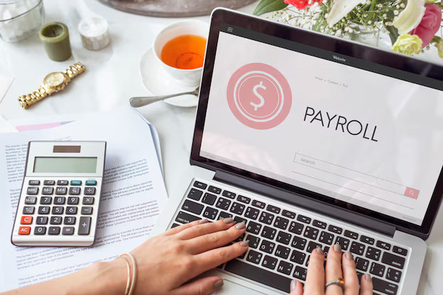 what is payroll management software